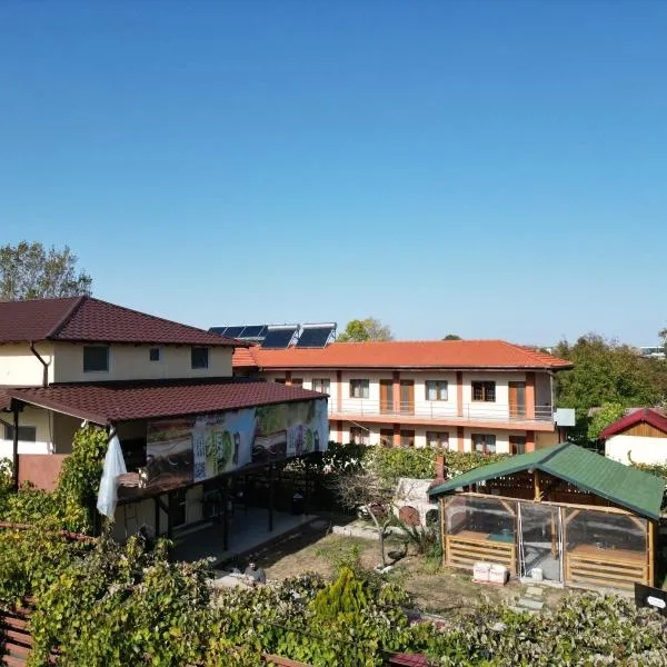 Casa Călin, hotel u gradu Vama Veke