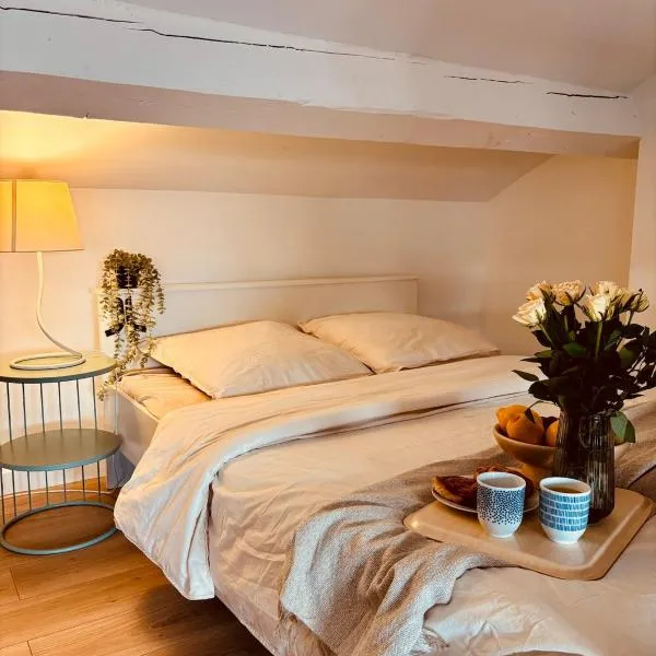 Charming studio, bright, central, quiet、サン・テティエンヌのホテル