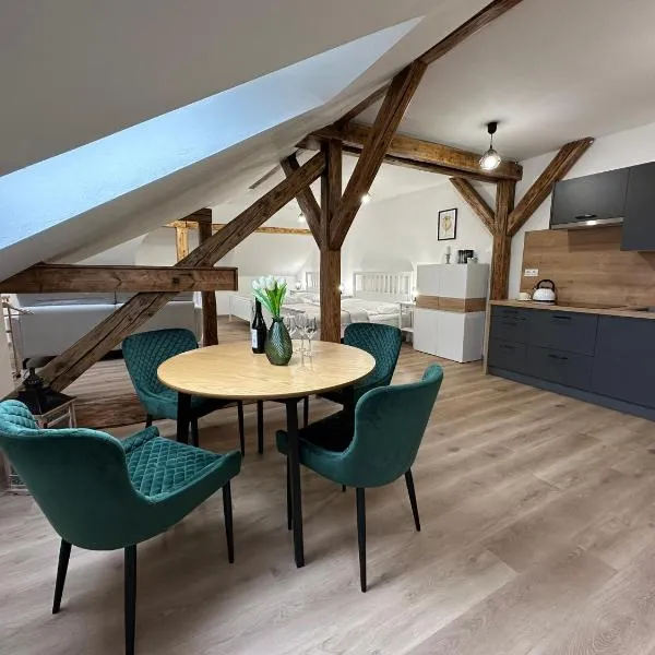 Vila Fráňa apartmán 3, hotel in České Budějovice