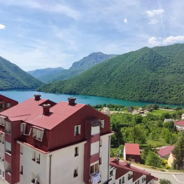 Apartman DUNJA, hotel in Pluzine
