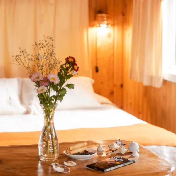 Cabañas Hermansen, hotel a Maitencillo