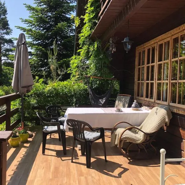 House in the forest in Podlasie, hotel in Studzianki