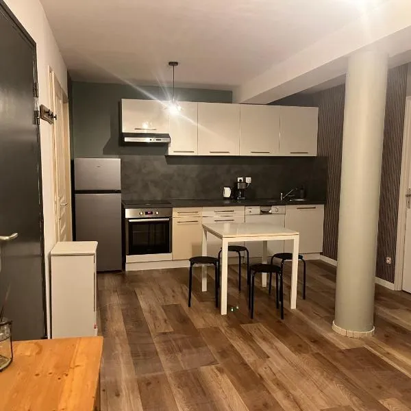 Le 24 carat appartement 3 pièces neuf, hotel v destinaci Beaurepaire