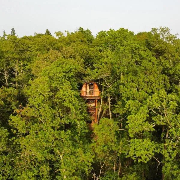 La cabane entre les cimes – hotel 