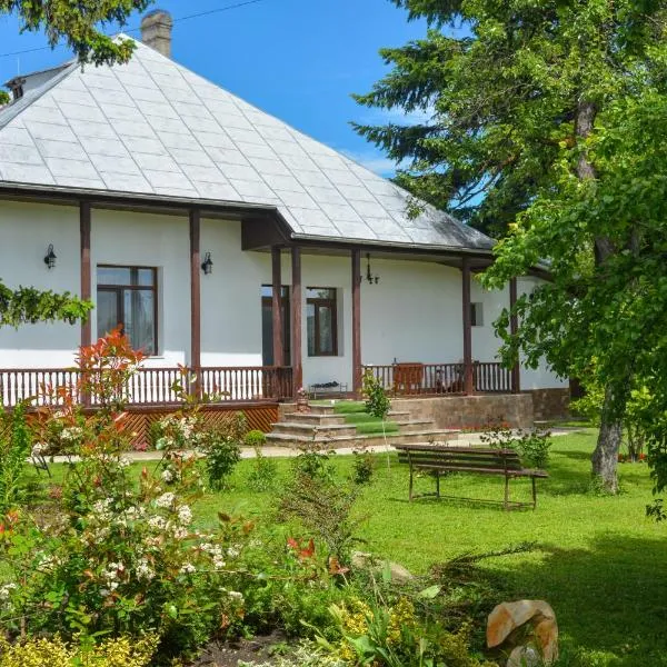 Casa Humulesti, fii vecinul lui Ion Creanga, hotel v destinaci Tîrgu Neamţ
