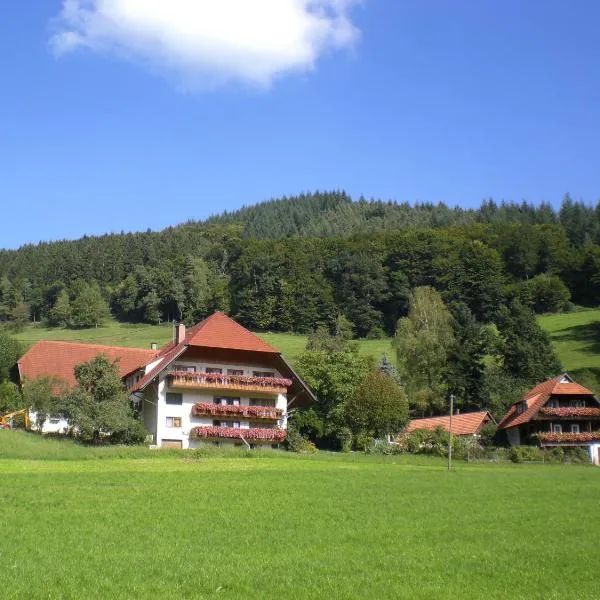 Geigerbauernhof, hotel v destinaci Mühlenbach