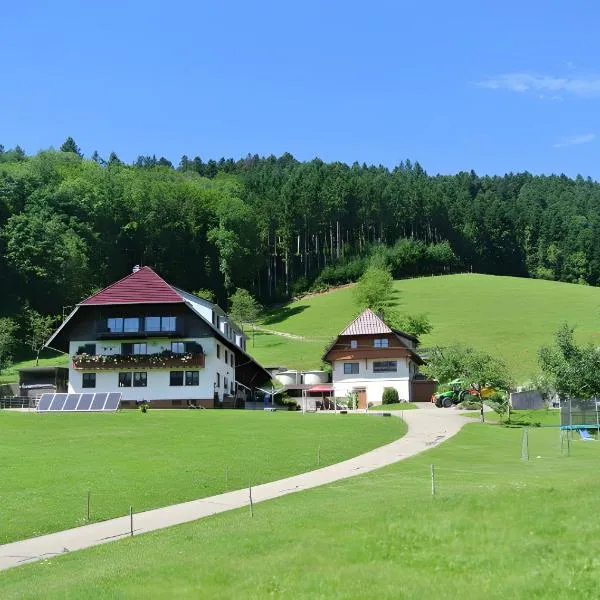 Vordersbergerhof, hotel in Hausach