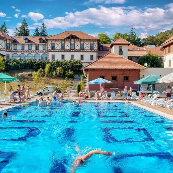 Erzsébet Park Hotel, hotel v destinácii Parád