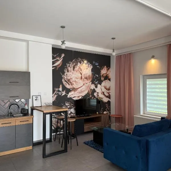 Apartamenty pod Wierzbami, hotel em Dwikozy