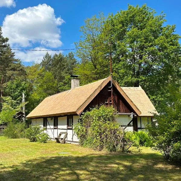 Bibianna Serce Lasu, khách sạn ở Malanów