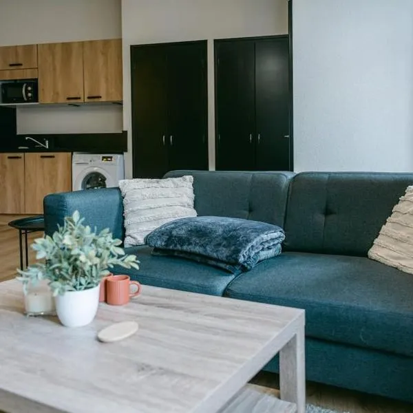 Spacieux T3 en centre avec garage clos - calme et tout confort, hotel v destinácii Rodez