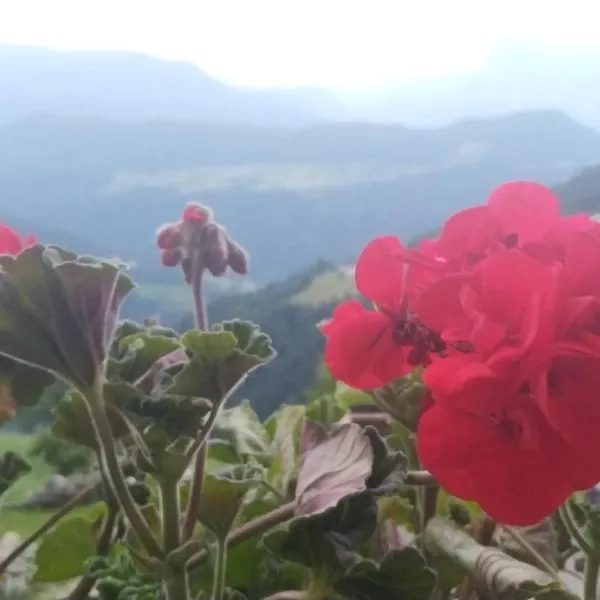 Mitterhofer Appartements، فندق في فيلاندرو