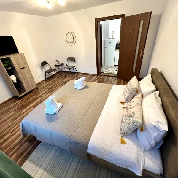 Apartament S-HOUSE Avrig , cu terasă și parcare privată, hotel in Avrig