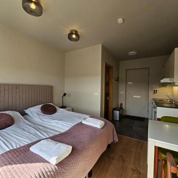 Borg Apartments, hotel v destinaci Hvolsvöllur