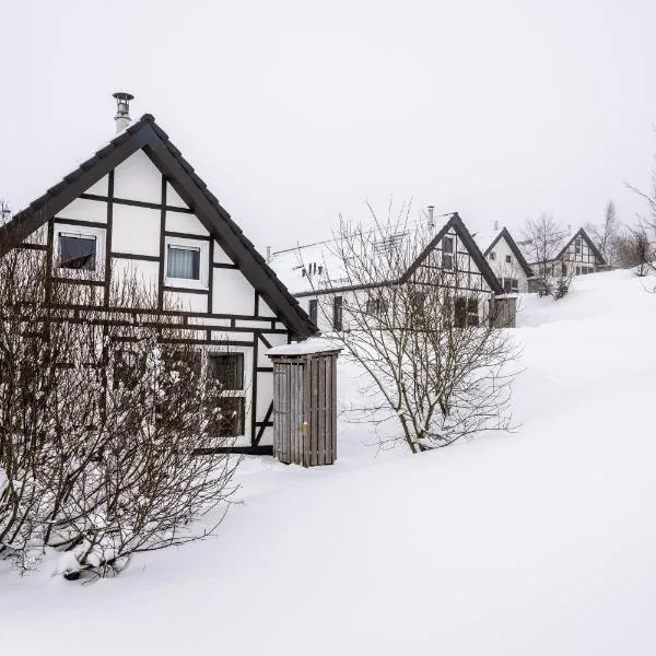 Landal Winterberg, hotel v destinaci Winterberg