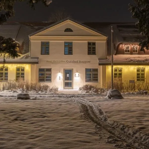 Ferienwohnungen - barrierefrei - im sanierten Gutshof, Hotel in Lalendorf