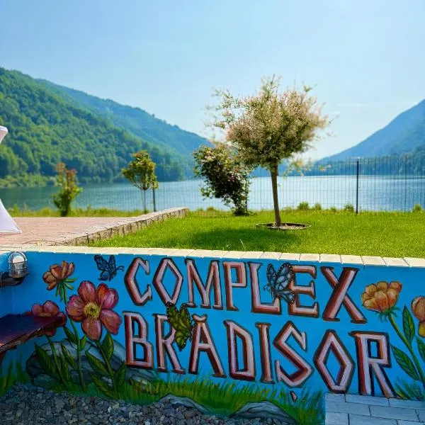 Complex Brădișor, hotel in Malaia