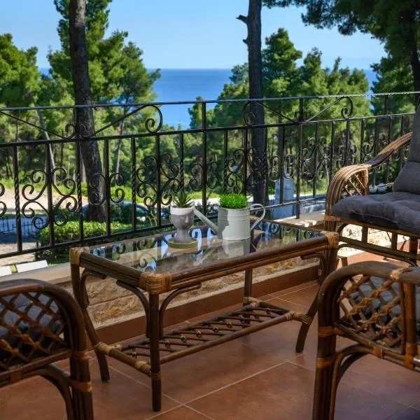 Sani Elite Villa, hôtel à Sani Beach