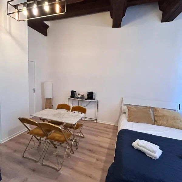 Appartement - Albi Cathédrale, hotel in Albi