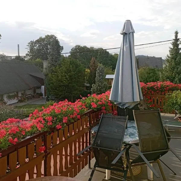 Apartment Pavel, hotel in Velké Poříčí