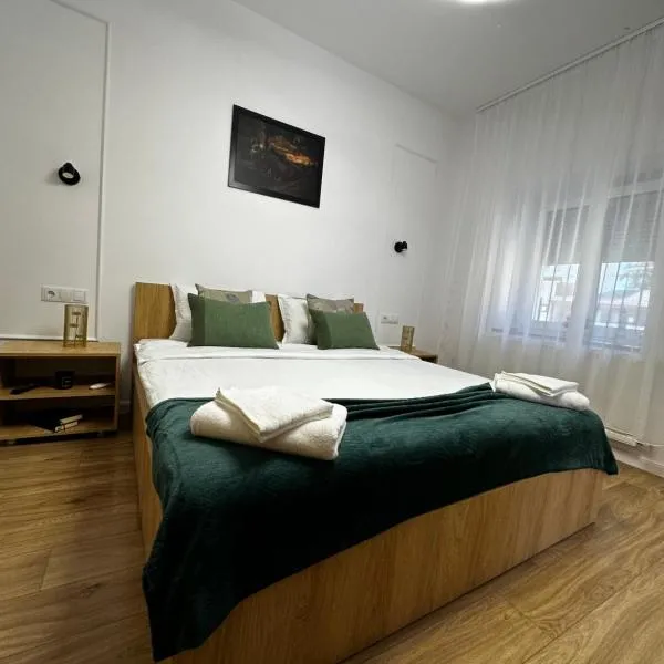 Moin Apartment, מלון בסיביו