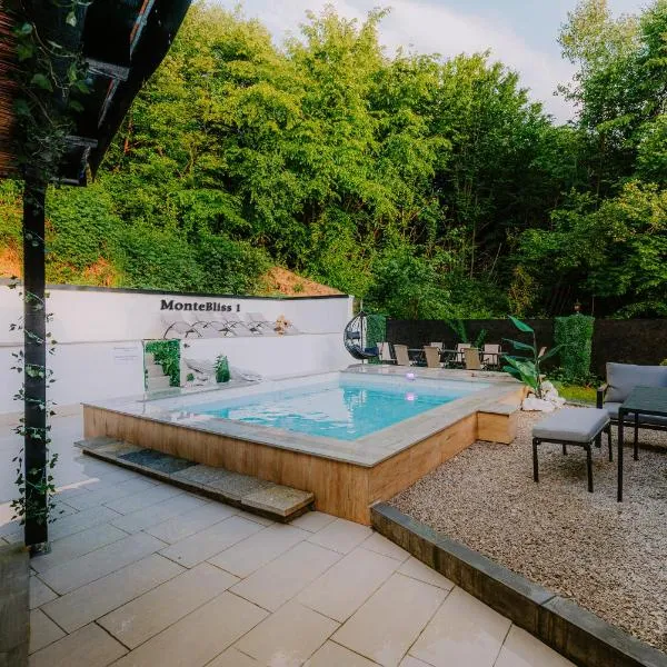 Panorama Villa House Sarajevo- Jacuzzi, Bazen & Pogled na Grad 1, hotel v destinaci Sarajevo