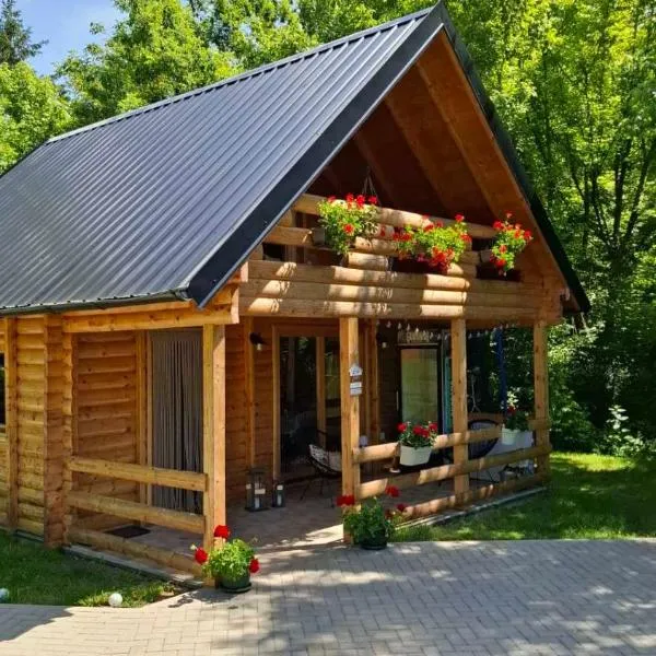 Kuća za odmor Stara Jabuka, hotel in Ledinci