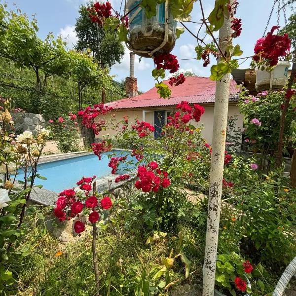 Friendly Cottage with small Pool, hotel v destinaci Ambrolauri