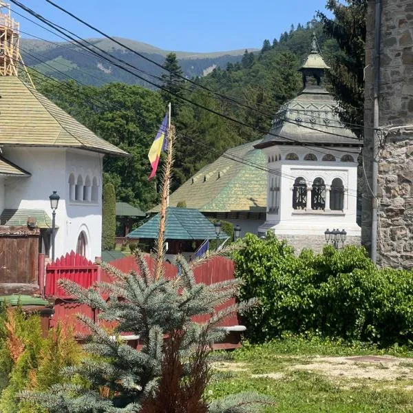 Casa SEMA, hotel a Sinaia