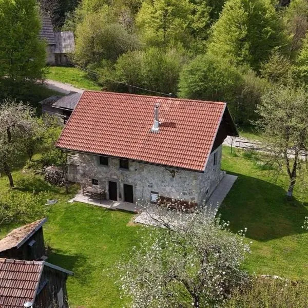 Apartment Olga, hotel in Babno Polje
