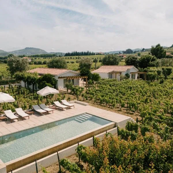 IMAGO Houses - Douro Valley - By MET, hotel v destinaci Lamego
