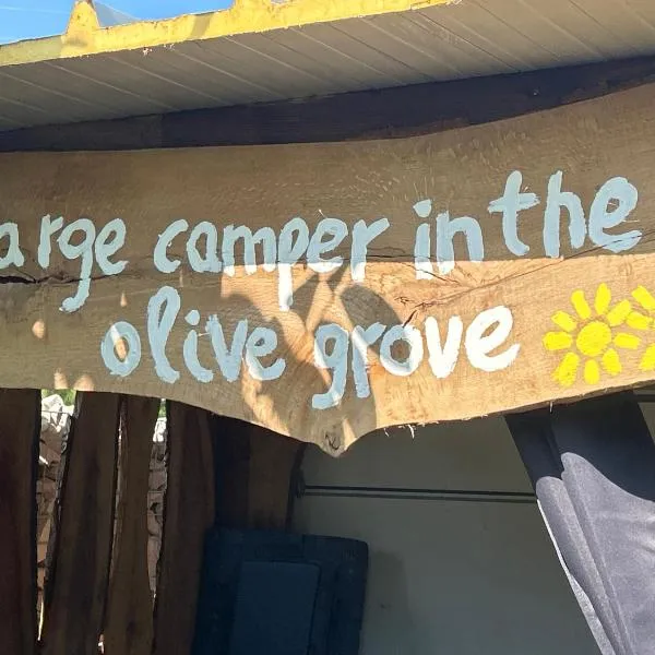 Large camper in the olive grove, hotel v Banjole
