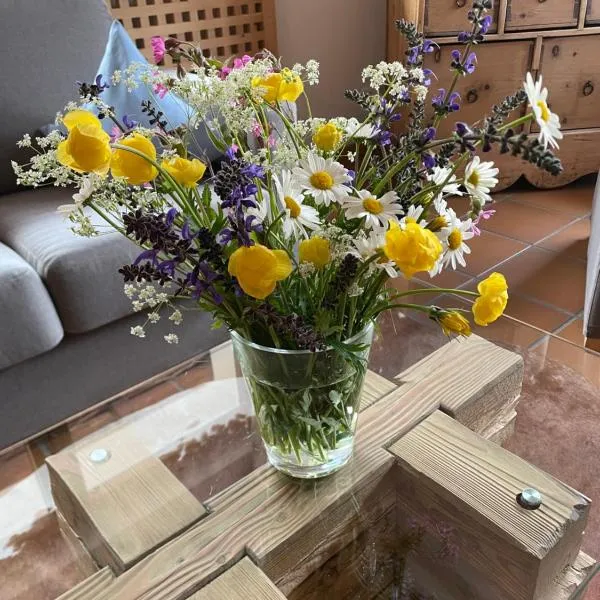 Fedaia Joy B&B, hotel sa Canazei