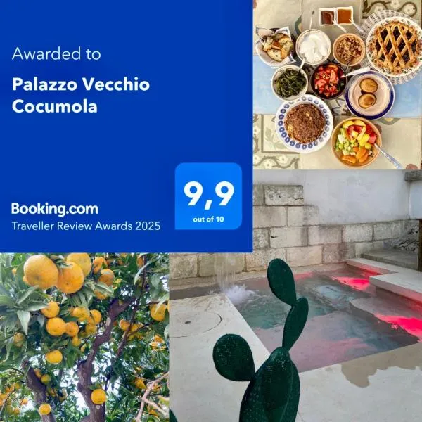 Palazzo Vecchio Cocumola – hotel w mieście Cocumola