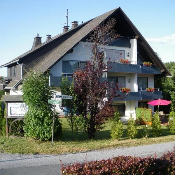 Ferienwohnungen Landhaus Meran inkl MeineCardPlus, hotel in Willingen