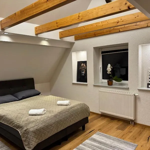 Gemütliche Wohnung in Gaggenau-Ottenau, hotel in Gaggenau