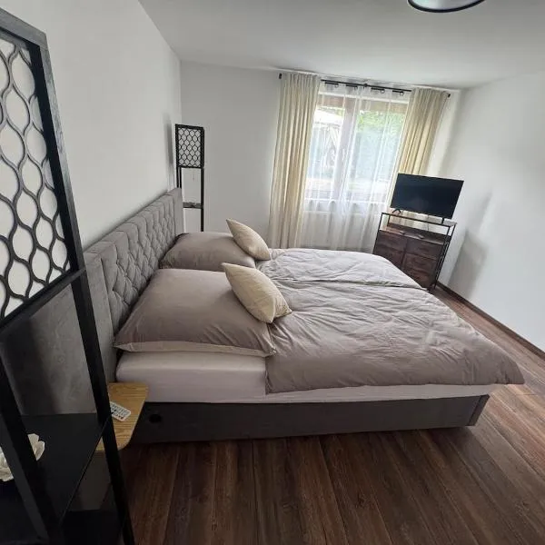 Cozy apartment, Hotel in Sankt Goar