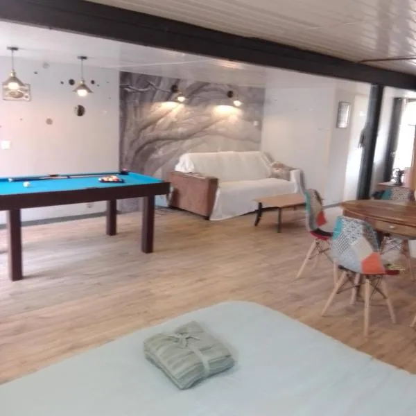 Studio calme avec billard, hotel v destinaci Saint-Priest