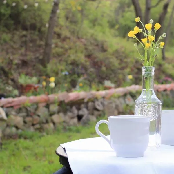 Oak Tree Ranch, hotel in Lagaro