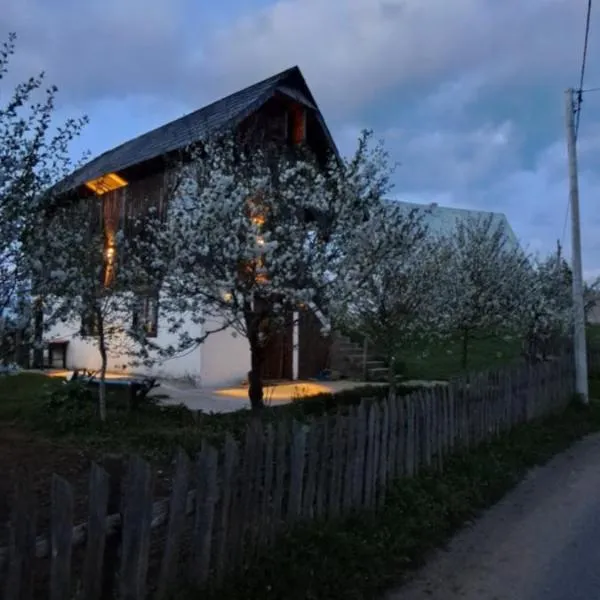 Domacinstvo Obradovic Nadgora, hotel in Nadgora
