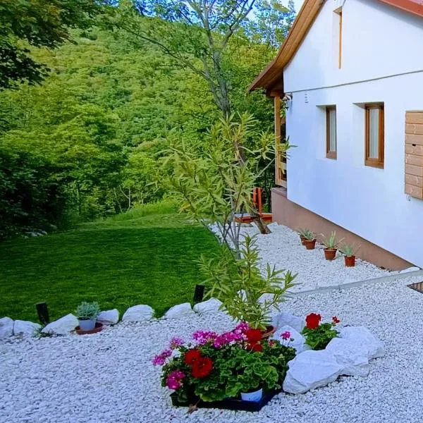 Hilltop Cottage in Szentendre, mountain view, terrace, garden, hotel v destinaci Szentendre