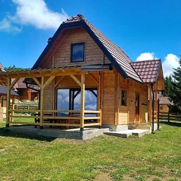 Vila Planinski san 1, hotel v destinaci Zaovine