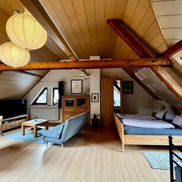 Apartment Mosel-Götterlay, hotel v destinaci Bruttig-Fankel