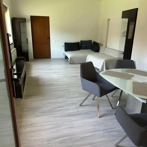 Airport Confort House, hotel v destinaci Otopeni