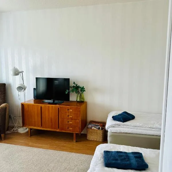 Tilava kt yksiö, lasitettu parveke, hotel in Jalasjärvi