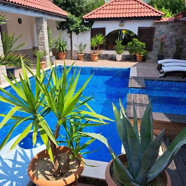 Къщи за гости Стария Орех, hotel in Vidin