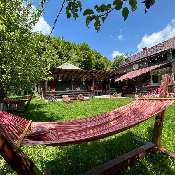 Cabana Ana, hotel v destinaci Vadu Moţilor