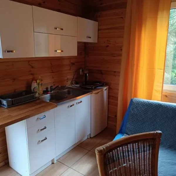Domki Sosnowa dolina We wielu, hotel in Wiele