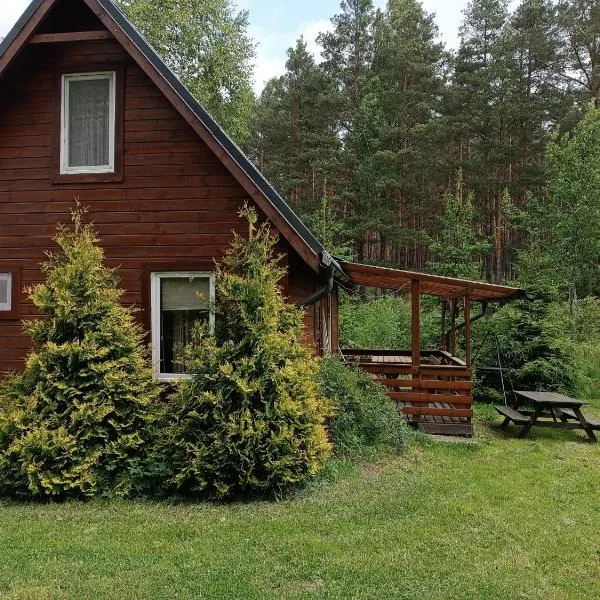 Domki Sosnowa dolina We Wielu, hotel in Wiele