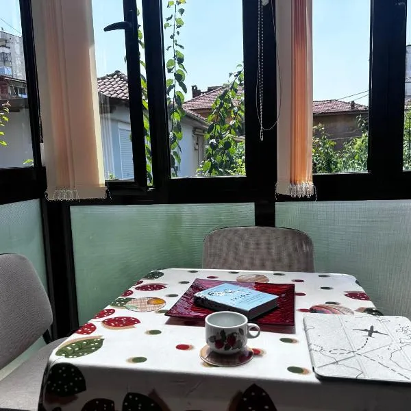 Villa Tirana, hotel a Tirana